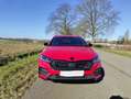 Skoda Octavia Octavia Combi 2.0 TSI DSG RS+PANO+LEDER+Red Velvet Rouge - thumbnail 3