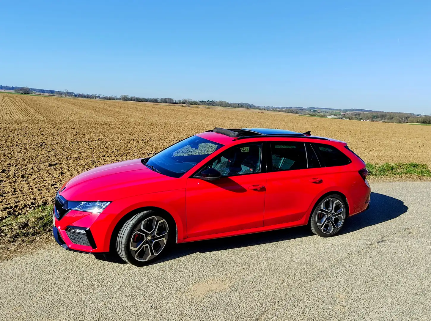 Skoda Octavia Octavia Combi 2.0 TSI DSG RS+PANO+LEDER+Red Velvet Rouge - 2