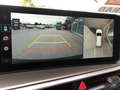 Kia Sorento 2,2 CRDi SCR AWD Platin DCT Grau - thumbnail 12
