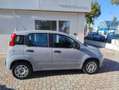 Fiat Panda 1.2 Easy Grigio - thumbnail 3