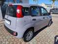 Fiat Panda 1.2 Easy Grigio - thumbnail 4