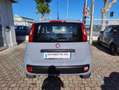 Fiat Panda 1.2 Easy Grigio - thumbnail 5