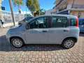 Fiat Panda 1.2 Easy Grigio - thumbnail 7