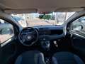 Fiat Panda 1.2 Easy Grigio - thumbnail 12