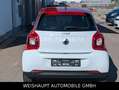smart forFour forfour electric drive / EQ Aluf-22kw Weiß - thumbnail 15