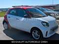 smart forFour forfour electric drive / EQ Aluf-22kw Weiß - thumbnail 13