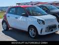 smart forFour forfour electric drive / EQ Aluf-22kw Weiß - thumbnail 17