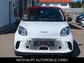 smart forFour forfour electric drive / EQ Aluf-22kw Weiß - thumbnail 4