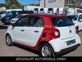smart forFour forfour electric drive / EQ Aluf-22kw Weiß - thumbnail 11