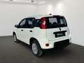 Fiat Panda 1.0 GSE Hybrid Wit - thumbnail 4