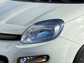 Fiat Panda 1.0 GSE Hybrid Wit - thumbnail 5