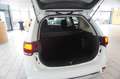Mitsubishi Outlander 2.4 PHEV 4WD NAVI/LED/KAMERA/DAB/AHK Weiß - thumbnail 9