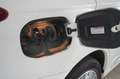 Mitsubishi Outlander 2.4 PHEV 4WD NAVI/LED/KAMERA/DAB/AHK Weiß - thumbnail 6