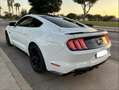 Ford Mustang Mustang Fastback 5.0 Ti-VCT GT Aut. GT Blanco - thumbnail 13