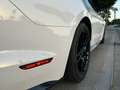 Ford Mustang Mustang Fastback 5.0 Ti-VCT GT Aut. GT Blanco - thumbnail 10