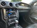 Ford Mustang Mustang Fastback 5.0 Ti-VCT GT Aut. GT Blanco - thumbnail 5
