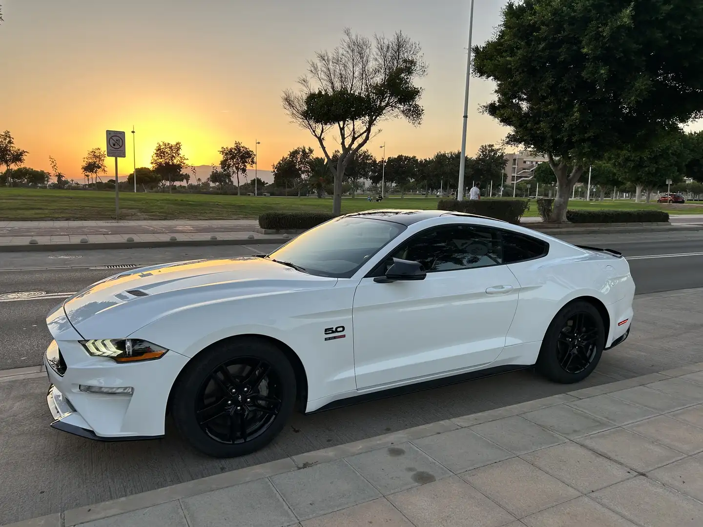 Ford Mustang Mustang Fastback 5.0 Ti-VCT GT Aut. GT Blanco - 1
