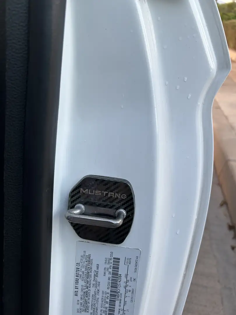 Ford Mustang Mustang Fastback 5.0 Ti-VCT GT Aut. GT Blanco - 2