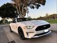 Ford Mustang Mustang Fastback 5.0 Ti-VCT GT Aut. GT Blanco - thumbnail 12