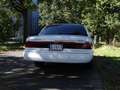 Ford Crown Mercury Grand Marquis GS baugleich Crown Weiß - thumbnail 24