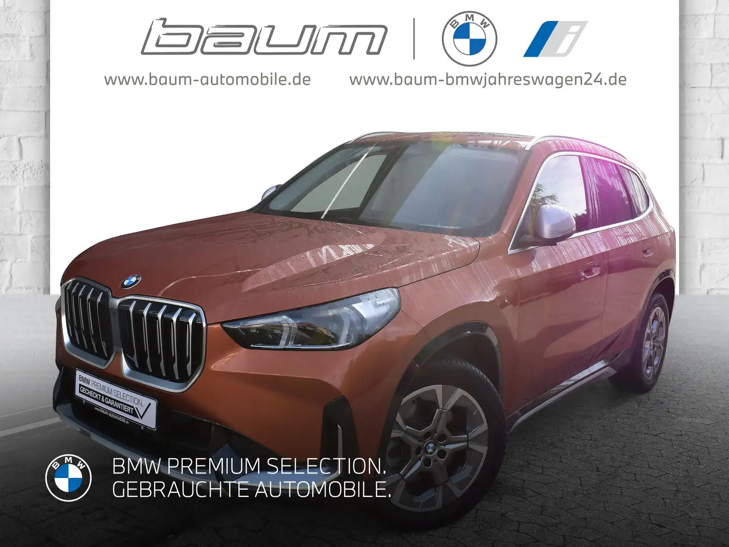 BMW X1 sDrive20i xLine DAB LED Pano.Dach Komfortzg. Oranje - 1