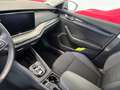 Skoda Octavia 2.0 TDI EVO SCR 150 CV DSG Wagon Executive Argento - thumbnail 11