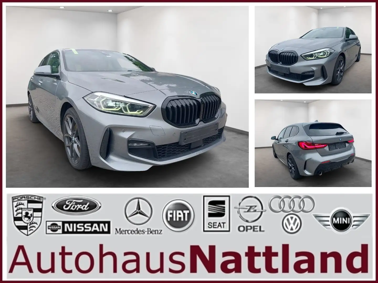 BMW 118 118d M Sport Shadow-Line Navi LED 1.Hd. Grau - 1