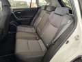 Toyota RAV 4 Rav4 2.5 vvt-ie h Business 2wd 218cv e-cvt Blanc - thumbnail 15