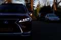 Lexus RX 450h AWD*Lexus Fabrieksgarantie tm 03-2031*Perfect Lexu Rot - thumbnail 32