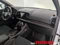 Skoda Karoq 2.0 TDI Sportline 4x4 Weiß - thumbnail 19