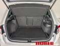 Skoda Karoq 2.0 TDI Sportline 4x4 Weiß - thumbnail 22
