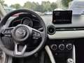 Mazda 2 Exclusive-Line 1.5 HUD AD LED Blendfreies Fernl. A Grau - thumbnail 11