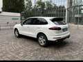 Porsche Cayenne Cayenne Diesel Diesel Platinum Edition Weiß - thumbnail 8