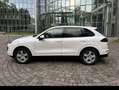 Porsche Cayenne Cayenne Diesel Diesel Platinum Edition Weiß - thumbnail 12
