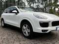 Porsche Cayenne Cayenne Diesel Diesel Platinum Edition Weiß - thumbnail 14