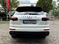 Porsche Cayenne Cayenne Diesel Diesel Platinum Edition Weiß - thumbnail 13