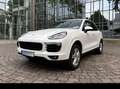 Porsche Cayenne Cayenne Diesel Diesel Platinum Edition Weiß - thumbnail 3