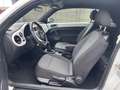Volkswagen Maggiolino Cabrio 2.0 TDI Design BMT *OK NEOPATENTATI* Weiß - thumbnail 5