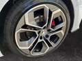 Skoda Octavia Combi RS Plus 2.0TDI 4x4 DSG Standheizung Weiß - thumbnail 15