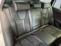 Skoda Octavia Combi RS Plus 2.0TDI 4x4 DSG Standheizung Weiß - thumbnail 11