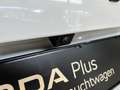 Skoda Octavia Combi RS Plus 2.0TDI 4x4 DSG Standheizung Weiß - thumbnail 21