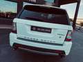 Land Rover Range Rover Sport 3.0TDV6 AB Aut. Grijs - thumbnail 33