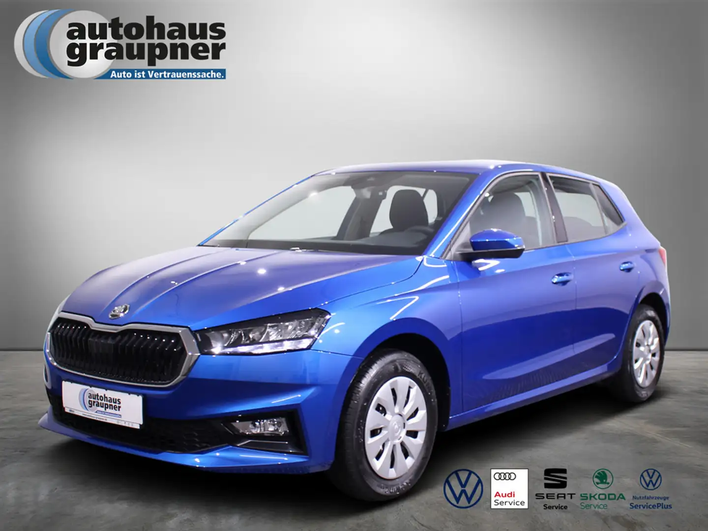 Skoda Fabia 1.0 TSI Selection KLIMA PDC SHZ LED Blau - 1