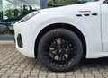Maserati Grecale MODENA 5 Jahre Garantie und Service Bianco - thumbnail 8