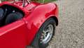 AC Cobra 427s/c 1981 Rot - thumbnail 26