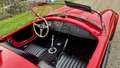 AC Cobra 427s/c 1981 Rot - thumbnail 44