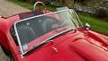 AC Cobra 427s/c 1981 Rot - thumbnail 30