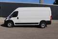 Fiat Ducato Kastenwagen L4H2 180MJT Euro-6D-Final MT... Wit - thumbnail 3