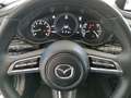 Mazda CX-30 X 186 GT+ BIG DEAL Grau - thumbnail 16