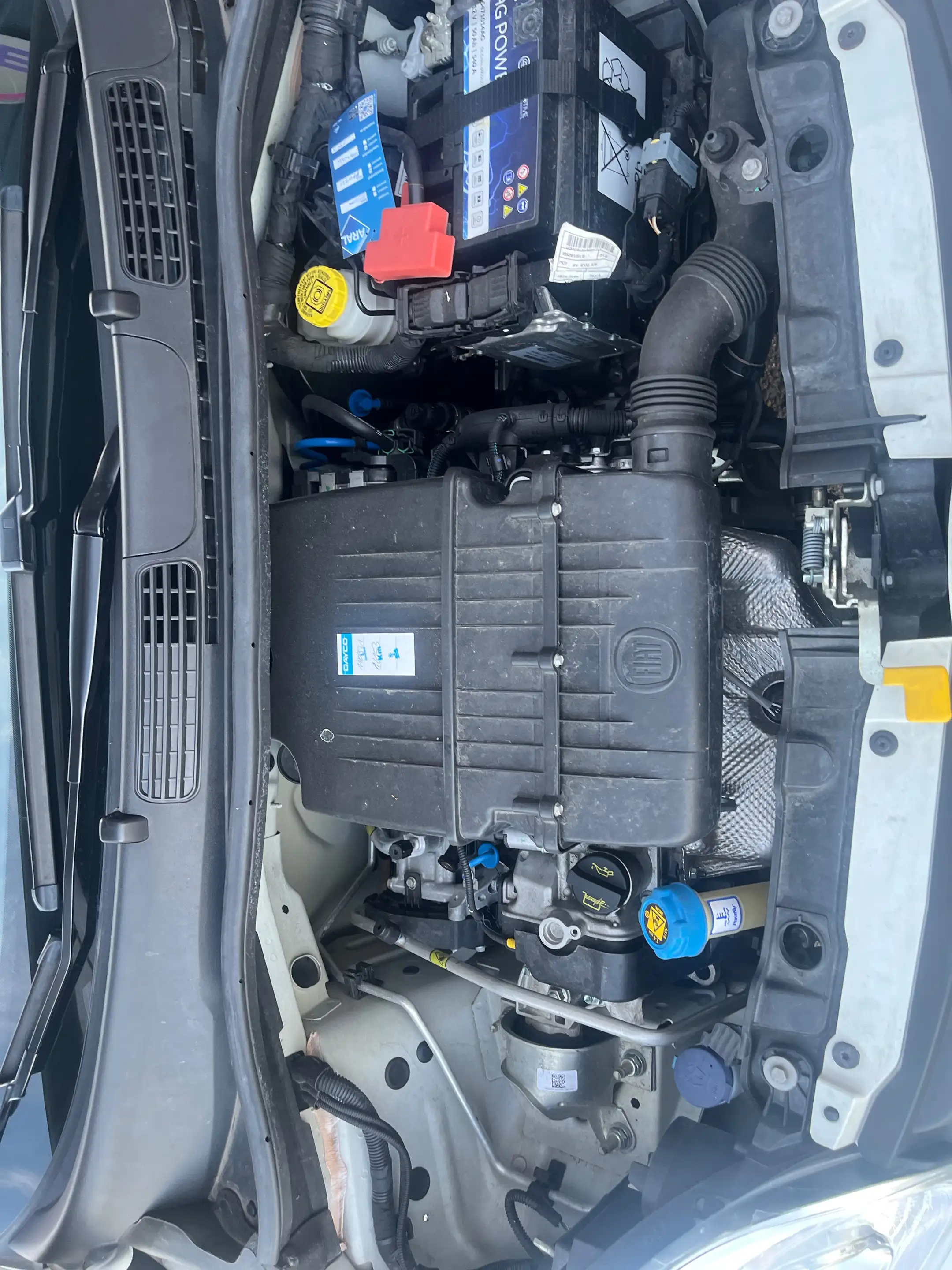 Fiat Panda Panda/Pandina 1.2 Pop — photo 6